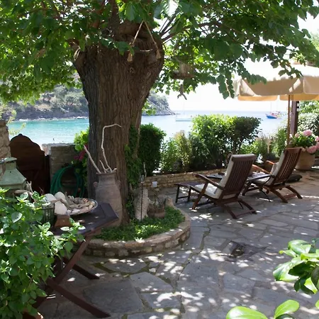 Evdora Villa Aliki (Thasos)