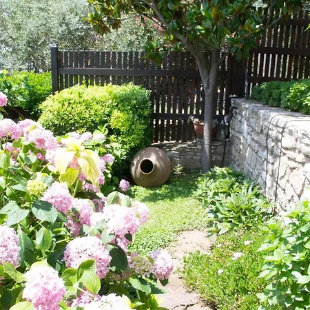 Evdora Villa Aliki (Thasos)