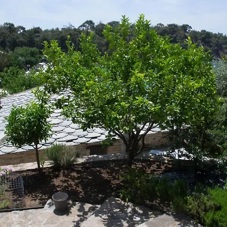 Evdora Villa